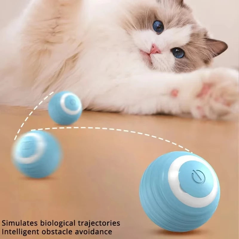 Electronic Rolling Ball Toy for Cats